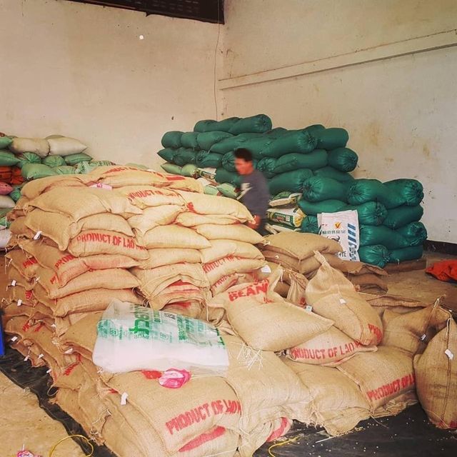 Strong Aroma Traditional Vietnam Robusta Coffee Beans Medium to Dark Roast Packaged in Bag at Best Price - Image 3