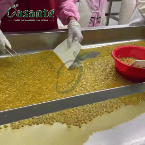 Frozen Passion Fruit Pulp with seed Origin Vietnam Product Type Fruits & Vegetables - Image 5