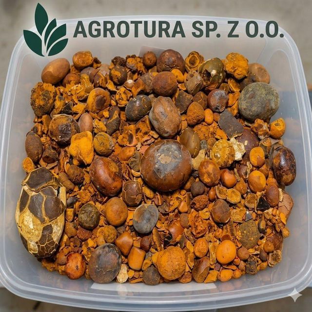Premium Wholesale Cow Ox Gallstones – High Purity Natural Bovine Gallstones for Traditional Medicine and Pharmaceutical Use, Carefully Selected and Processed for Maximum Quality, Consistency, and Global Export Supply with Custom Packaging and Reliable Bulk Delivery Options - Image 2