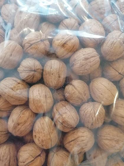 Organic Walnuts Raw Shelled Available for Wholesale - Image 3