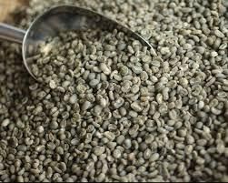 Coffee & Coffee Bean – product photo 1, product detail gallery