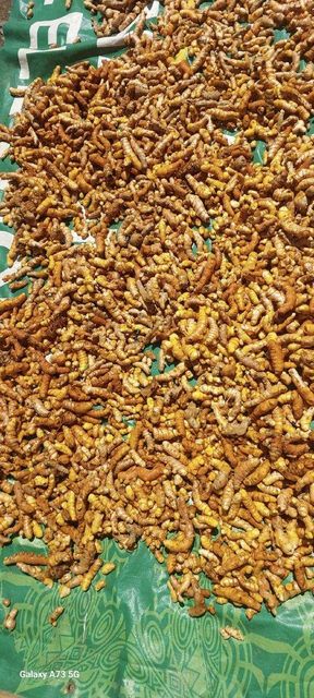 Dried sliced/ finger turmeric - Image 1