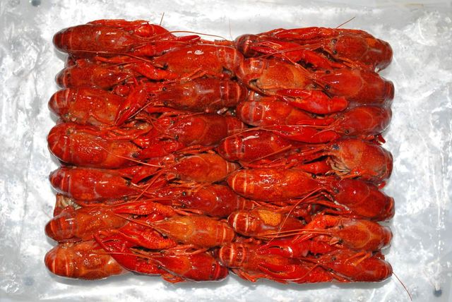 Frozen Crayfish Tail Meat Carefully Selected High Protein Seafood For Bulk Import Distribution And Retail Supply - Image 4
