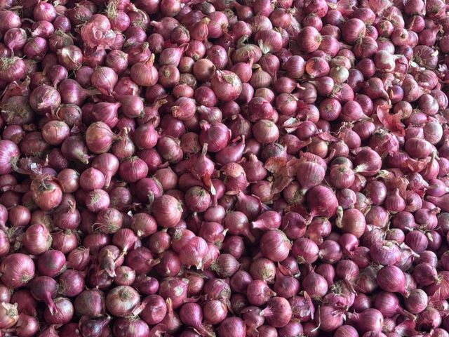 Red Onions Degree of Processing Dried - Image 5