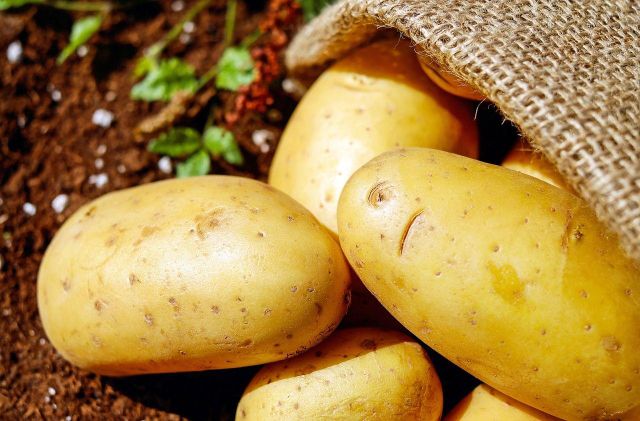 Fresh Potatoes High Quality with 0 % damage – product photo 3, product detail gallery