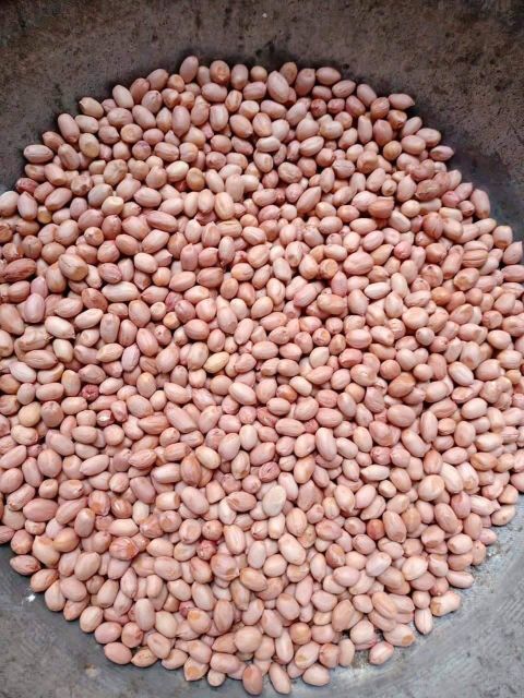 High Quality Peanuts Premium Peanuts cheap quality Peanuts - Image 2