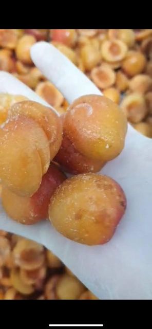Frozen Apricot Halves (Pitted) Variety Yubileiny Form Halves, Pitted Storage Temperature -18°c -20°c Processing Type Standard Freezing, Standart frozen apricot halves - Image 3