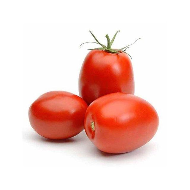 Premium quality fresh plum tomatoes offered in volume at factory price for trade buyers - Image 3