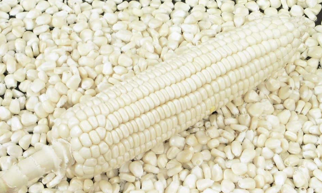 MAIZE - Image 1