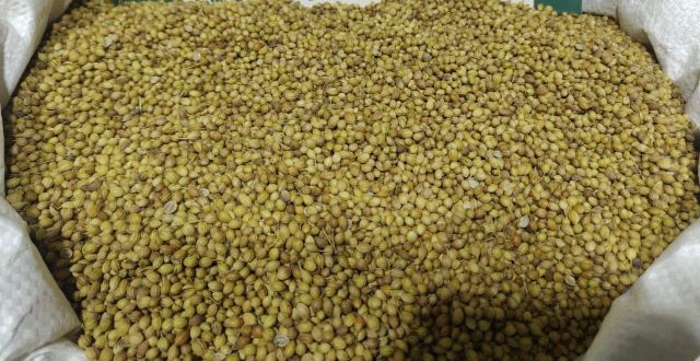 Coriander Seeds Origin Egypt Purity 99% Min Broken Seeds ≤ 3% Foreign Matter Free Admixture Level ≤ 1% Crop Year Current - Image 3