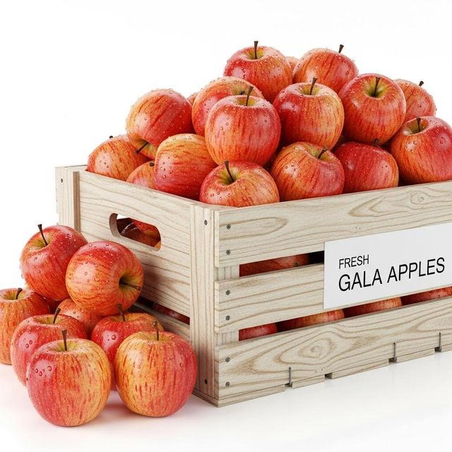 Fresh Gala Apple Fresh Premium Fruit Packed For Long Distance Shipping And Reliable Wholesale Distribution - Image 3