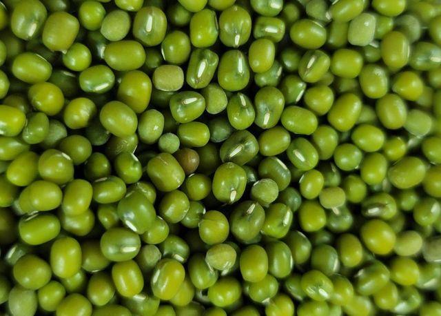 Green Mung Bean Size 3.5 Style Fresh Weight (kg) 25 Type Green Beans Brand Name Custom Address Bangladesh Shelf Life 2 - Image 6