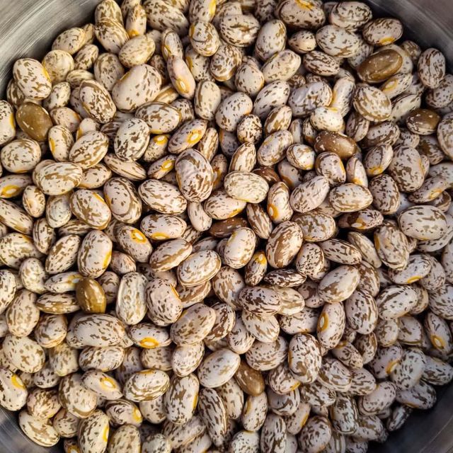 Natural Whole Dried Pinto Beans Prepared For Global Buyers With Hygienic Processing And Export Ready - Image 4