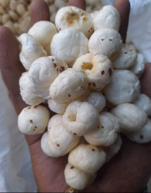 Fox Nuts Grade Availability 4+, 5+, 6+ Sourcing Origin Farms Of - Image 4