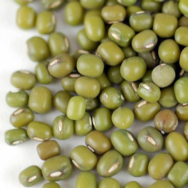 Bulk Green Mung Beans Fresh Natural Green Mung Beans Premium Quality Healthy Protein Rich Product - Image 4