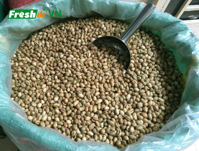 Green Coffee Beans from Vietnam (Robusta / Arabica) - Image 4