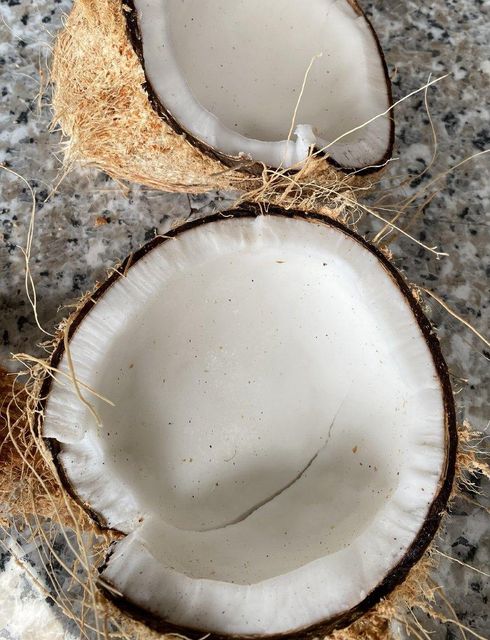Mature coconut husked Grade A Form Whole Origin Vietnam Color Yellow brown Packaging Mesh bag Maturity Stage Mature Weight (kg) 1.2kg - 1.5kg - Image 3