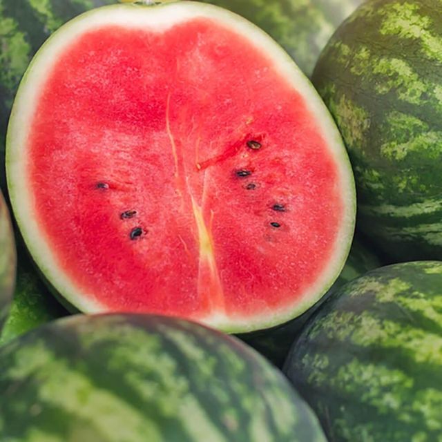 Seasonal Farm Harvest Fresh Watermelon Packed In Export Cartons With Reliable Quality Checks - Image 4
