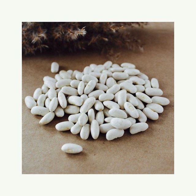fresh whole white beans for cooking soups chili salads and traditional dishes natural beans rich in protein fiber vitamins and minerals ideal for healthy diets vegetarian recipes and everyday meal preparation - Image 5