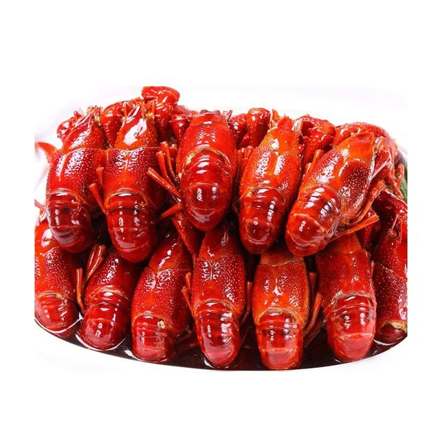 Competitive Price SPINY LOBSTER/ FROZEN RAW LOBSTER Export Standard - Image 3