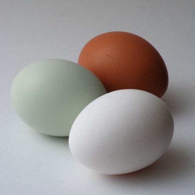 Premium Fresh Table Chicken Eggs With Verified Source Chicken Eggs Packed For Reliable Export And Bulk Buyers - Image 3