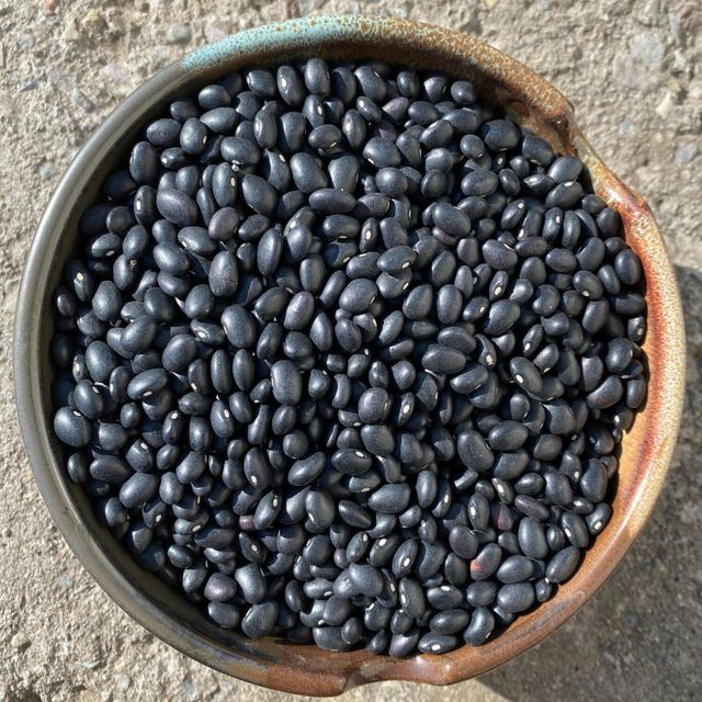 Organic Style Black Bean Bulk Distribution For Food Processing Sector Natural Black Bean Supply For Global Wholesale Buyers - Image 5