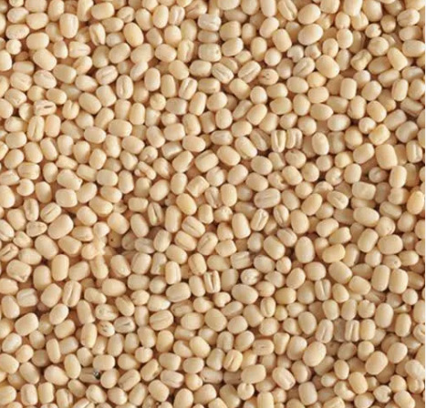 White Lentils – product photo 3, product detail gallery