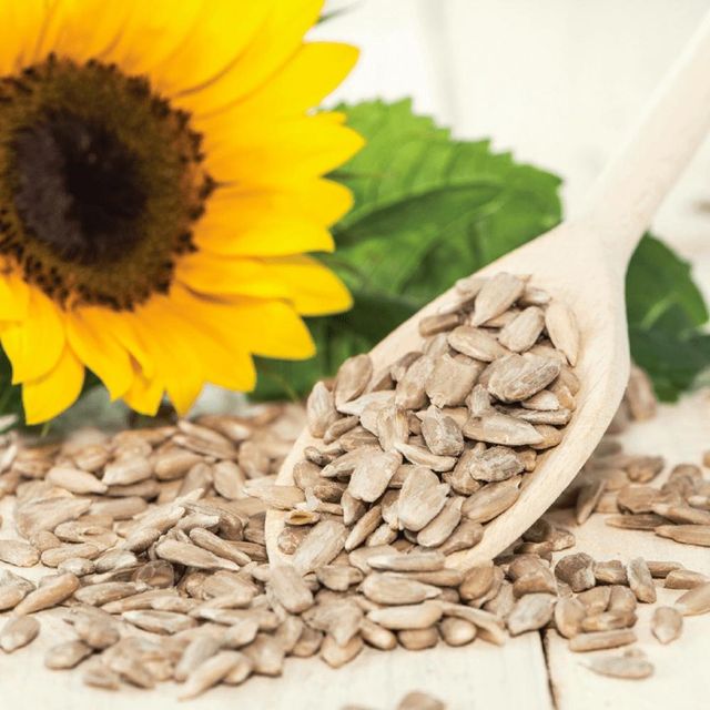 Wholesale Sunflower Seeds Kernel / Peeled Sunflower Seeds With Low Price - Image 3