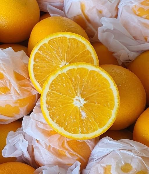 CLASS 1 Export quality Fresh South African Valencia Oranges – Ready for Export! Excellent Packaging - Image 4