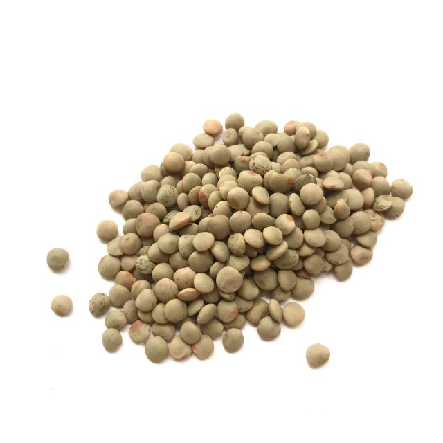 Premium Dried Brown lentils For Wholesale Bulk Orders Fresh Natural Brown lentils Carefully Selected For Export - Image 4