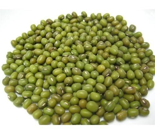 GREEN MUNG BEANS - Image 3