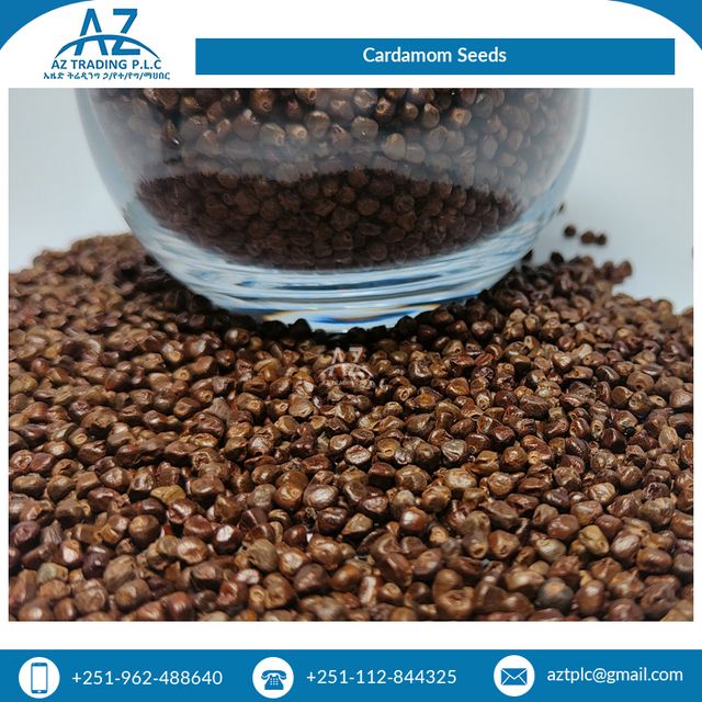 Highly Aromatic and Pleasant Taste 100% Pure Dried Black Cardamom Seeds from Reputed Wholesaler - Image 4