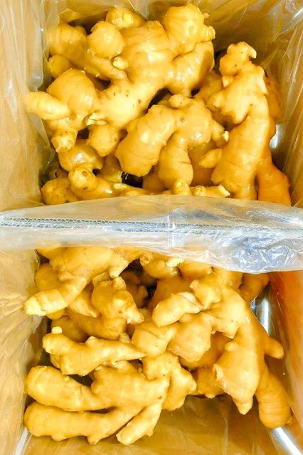 2025 New Fresh Air Dried Ginger Wholesale From Chinese Fresh Ginger Root Market Suppliers Low Price - Image 3