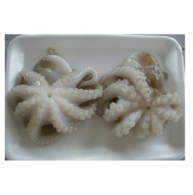 Manufacturers delicious snack baby octopus frozen seasoned octopus - Image 2