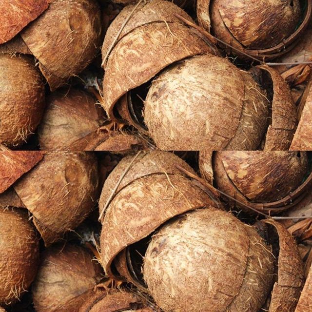 HOT SELLING Coconut Shell Raw Material for Charcoal Production and Carbon Processing Clean Source Stable Supply - Image 1