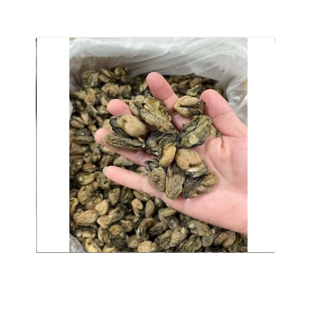 Top Air Without Shell Sun-dried Oysters [100GRAMS] Protein New Salt BQF Freezing Process In Gift Packing For cooking - Image 2