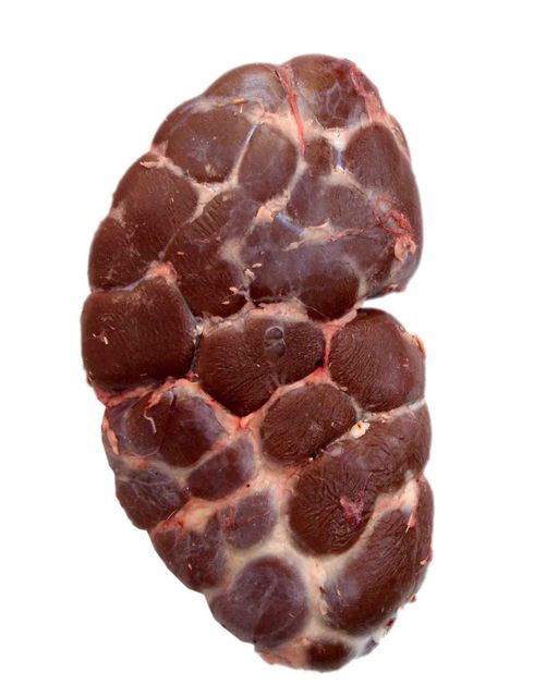 Frozen Beef Kidney Excellent Quality Wholesale Price Fresh Clean Cut Rich Flavor for Restaurants Food Service - Image 4