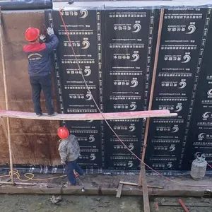 APP Modified Bitumen Waterproofing Membrane Length 10m Origin China Model NO. CH-SA Warranty 1 Year Trademark chenhua Price - Image 6