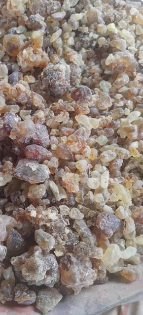 Frankincense - Image 1