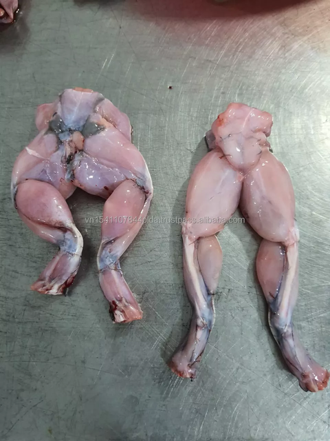 High class quality Frozen Skinless Frog Legs from Vietnam bulk packing / vacuum bag Gap KOSHER certificate - Image 4