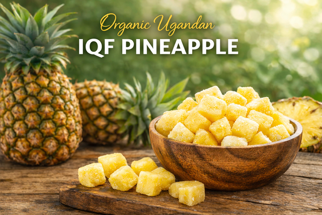 Individually Quick Frozen (IQF) Pineapples available in chunks, slices, tidbits, crushed. Naturally Sweet pineapples sourced from the most ideal environment. - Image 2