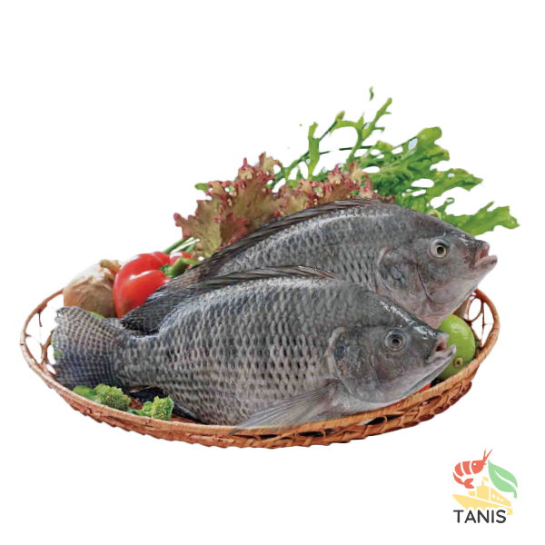 HOT SALE!! Tilapia Whole Fillet IQF Bulk packing Origin Vietnam Wholesale price - Image 4