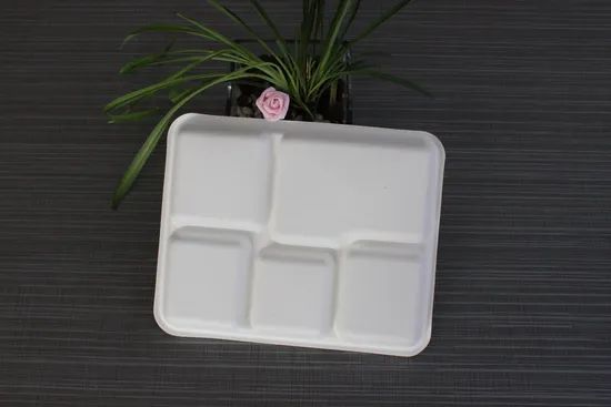 Food Grade Popular 12.5'' 5 Compartment Sugarcane Tray Disposable Bagasse Tableware - Image 4