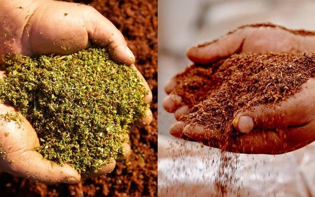 Premium South African Organic Rooibos Tea | Organic South African Rooibos & Honeybush Tea | Bulk Herbal Tea - Image 3