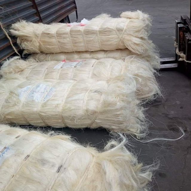 Raw Sisal Fiber Gypsum Hair Bulk Natural Fiber for Spinning Filling and Non Woven Fabric For Sale - Image 1