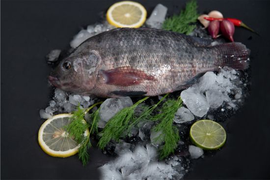 Black Tilapia - Image 1