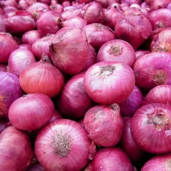 New Crop Fresh Red Onions and Yellow Onion White Price Per Ton in China From Onion Seeds Exporter - Image 3