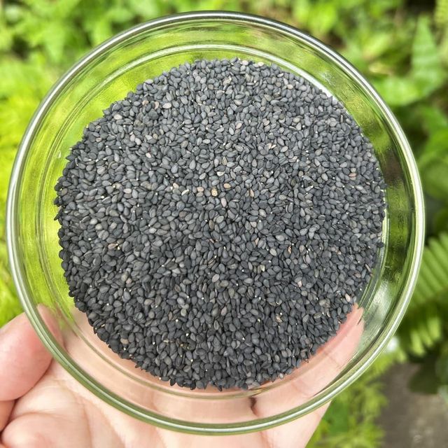 High Protein Dried Black Sesame Seed Whole Form Offered With Cleaning Process For International Import - Image 4