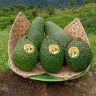 Premium Hass Avocado Flavor Nutty Texture Creamy Lead Time 14 - 21 Days Ripeness Stages Unripe And Ripe Variety Persea Americana (hass) - Image 4