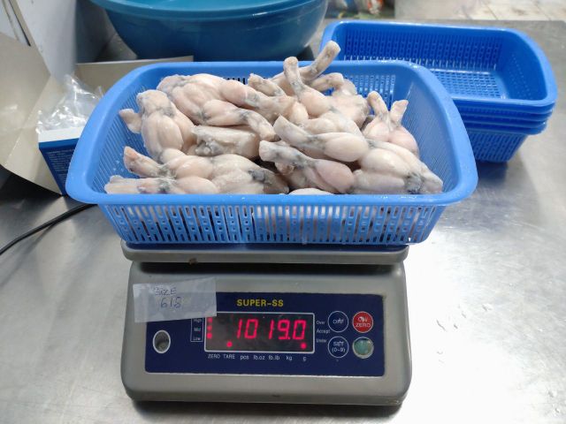 Discount price Frozen skinless bull frog legs meat GAP KOSHER Certificate From Vietnam - Image 4